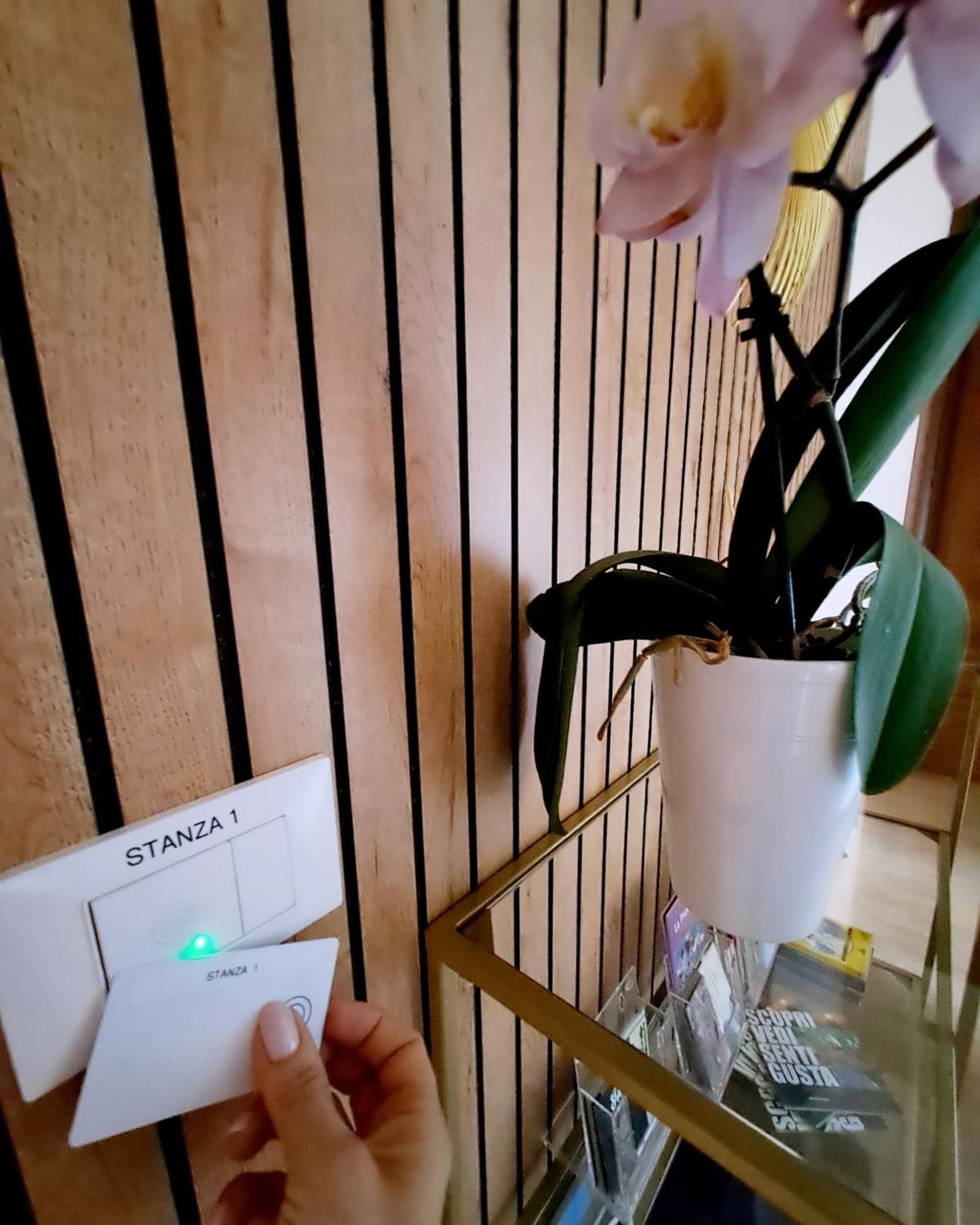 B&B Domu Mea Саррок Экстерьер фото